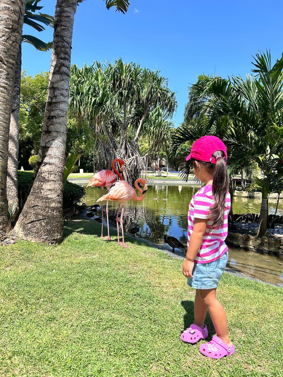 Foto de DELUXE PRINCESS PUNTA CANA - WhatsApp Image 2025-04-23 at 3.37.19 PM.jpeg